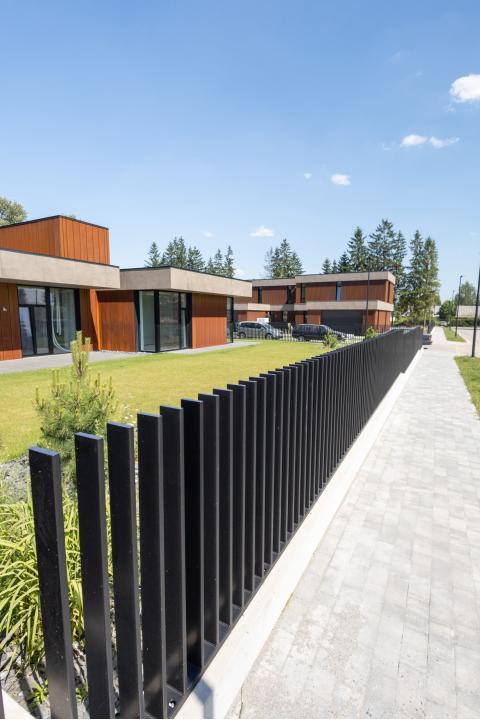Moderni tvora Obelų alėjoje — 2